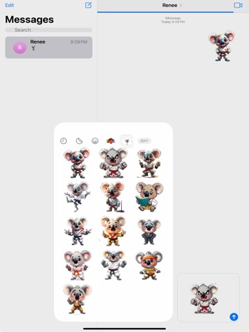 Karate Koala iPad screenshot