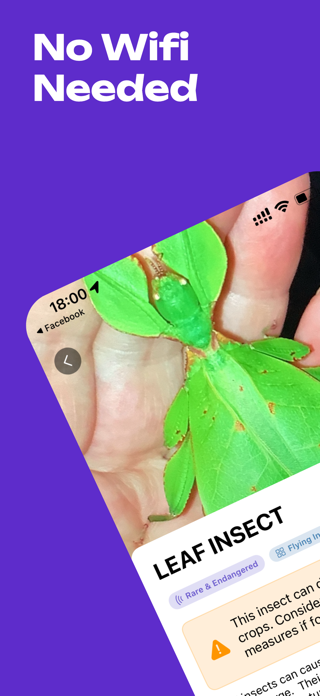Insectify: bed bug Identifier Screenshot 1 of 6