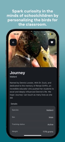 50 Ducks screenshot