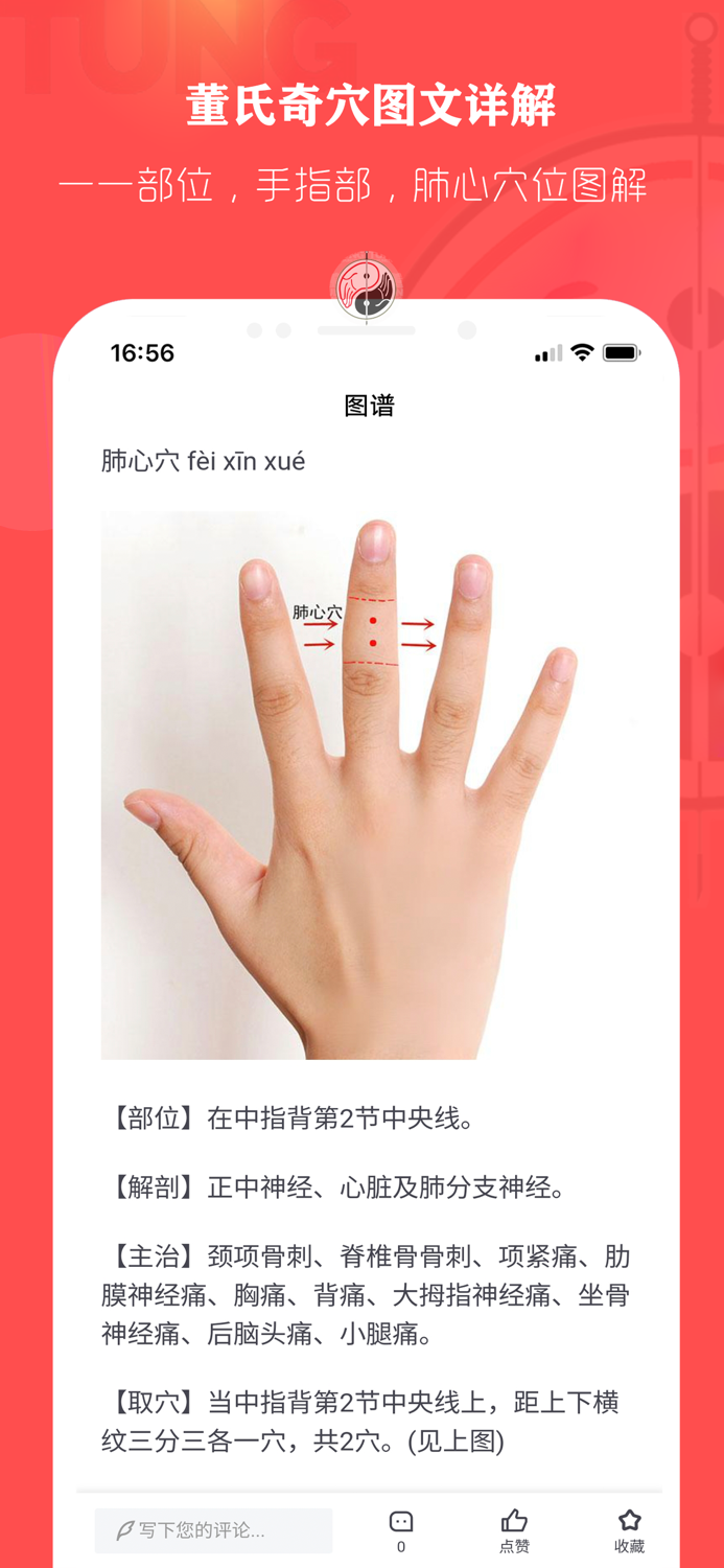 董氏奇穴针灸学