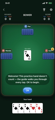 Bower: Euchre Screenshot 5 of 6