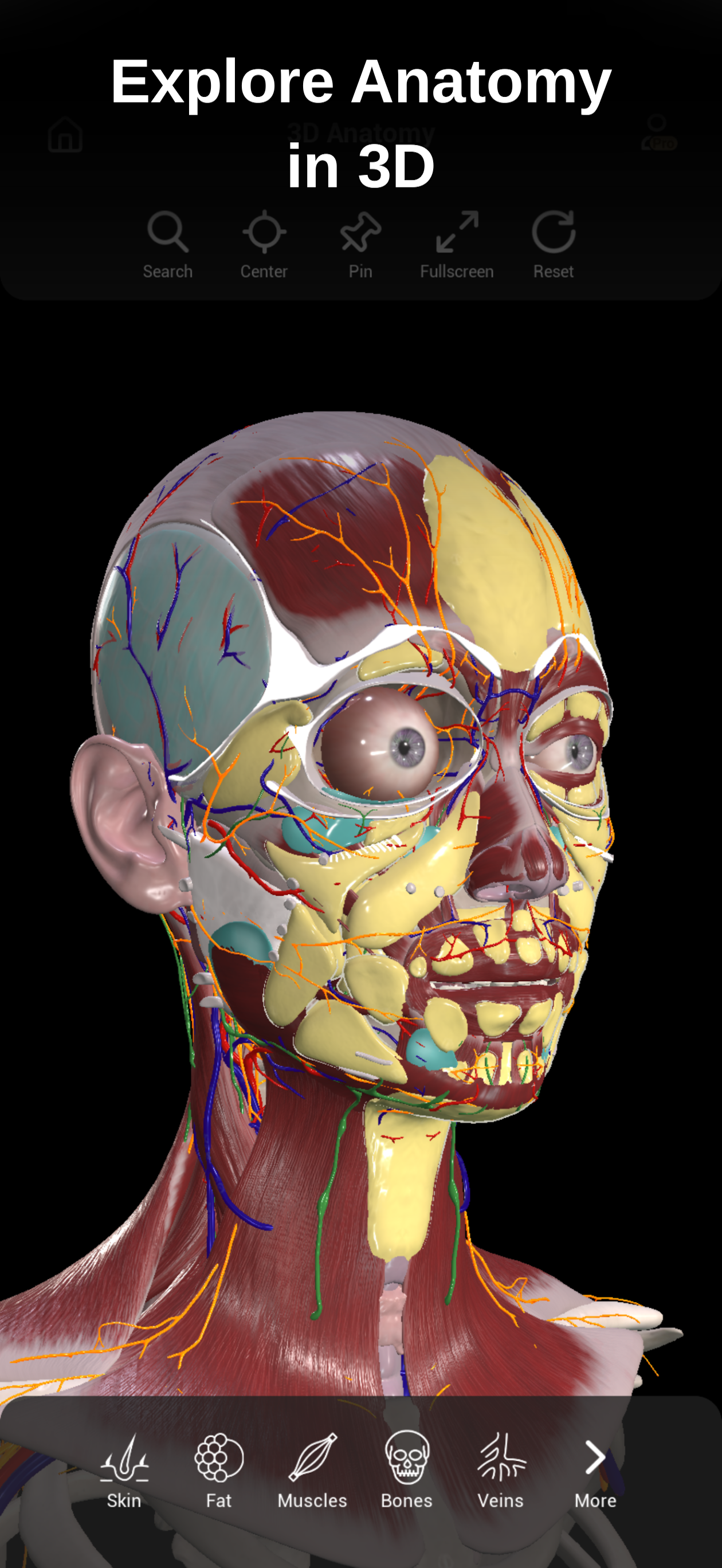 Injectomy: Anatomy+Animations