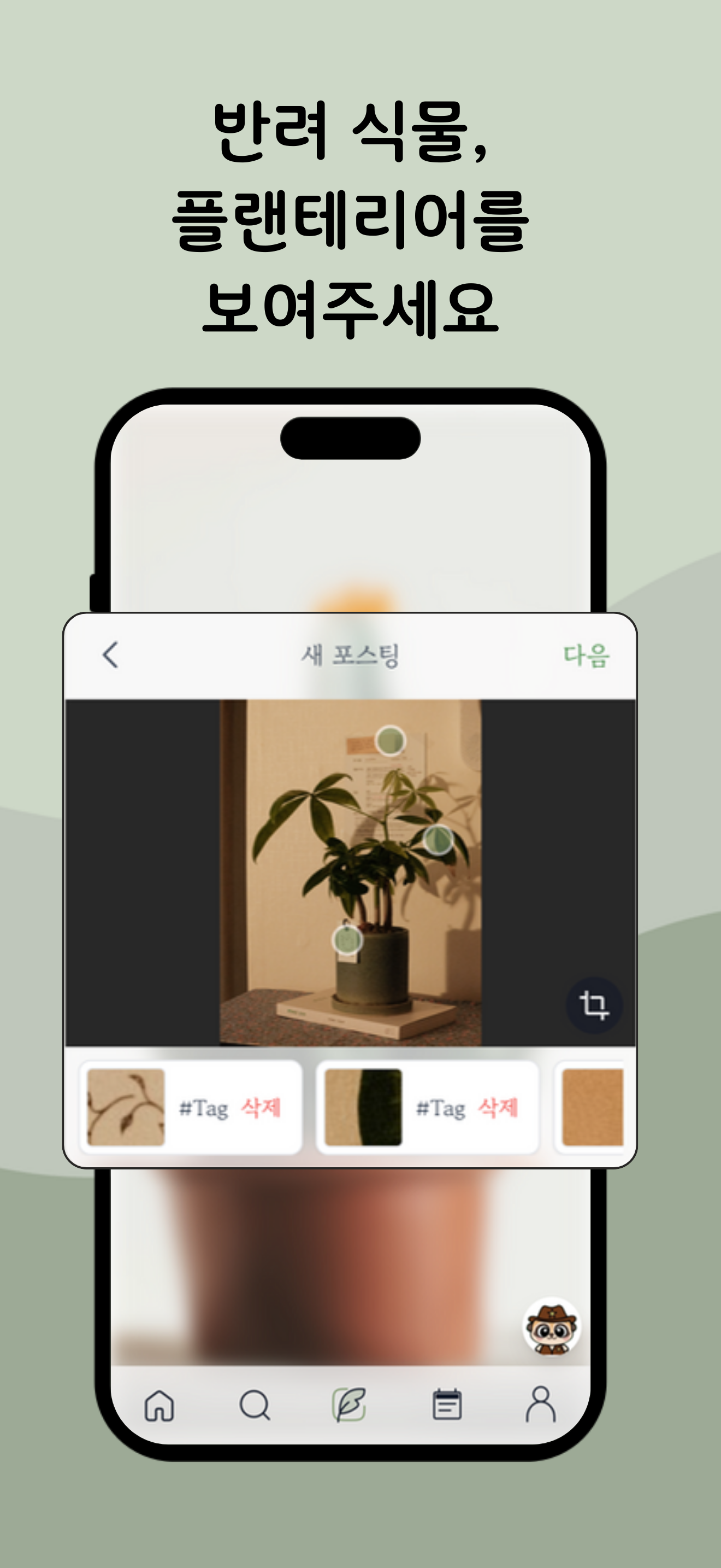 식지트 screenshot 2