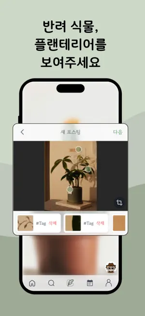 식지트 screenshot 2