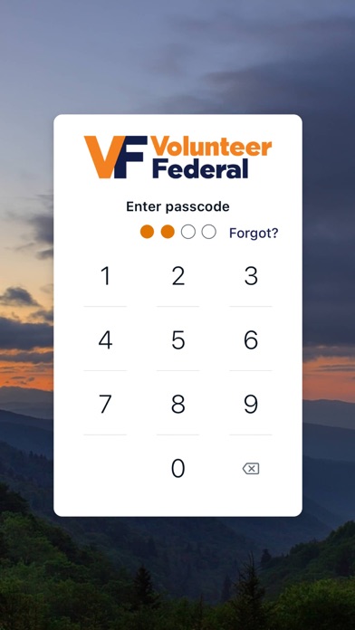 Volunteer Federal Screenshot