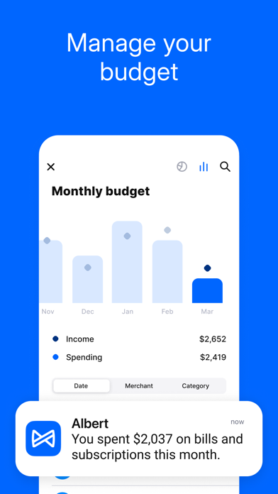 Albert: Budgeting and Banking Screenshot