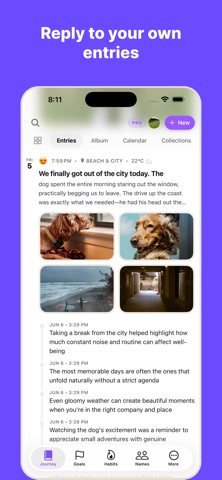 WispDay: Private Daily Diary Screenshot 4 of 9