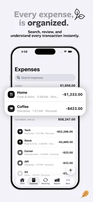 Spendly: AI Budget & Expenses screenshot 2