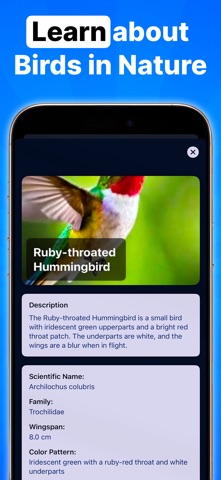 Birdy - Birdwatching Companion screenshot