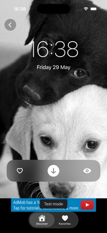 CanvasOS Screenshot 1 of 3
