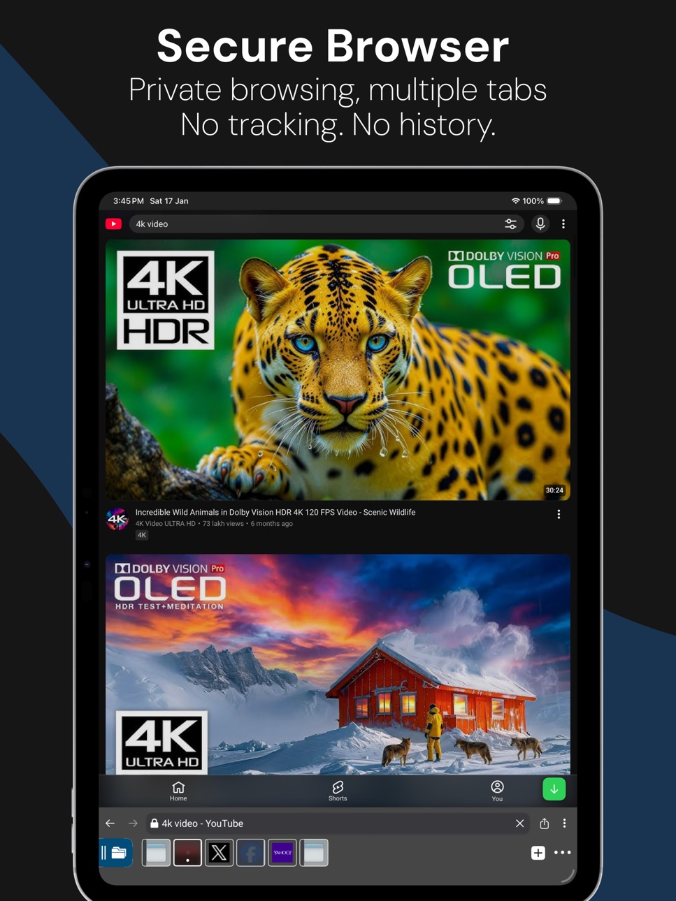 iPad screenshot