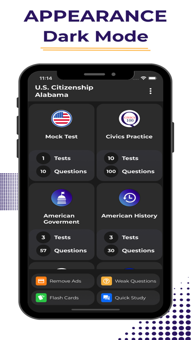 US Citizenship Study Guide Screenshot