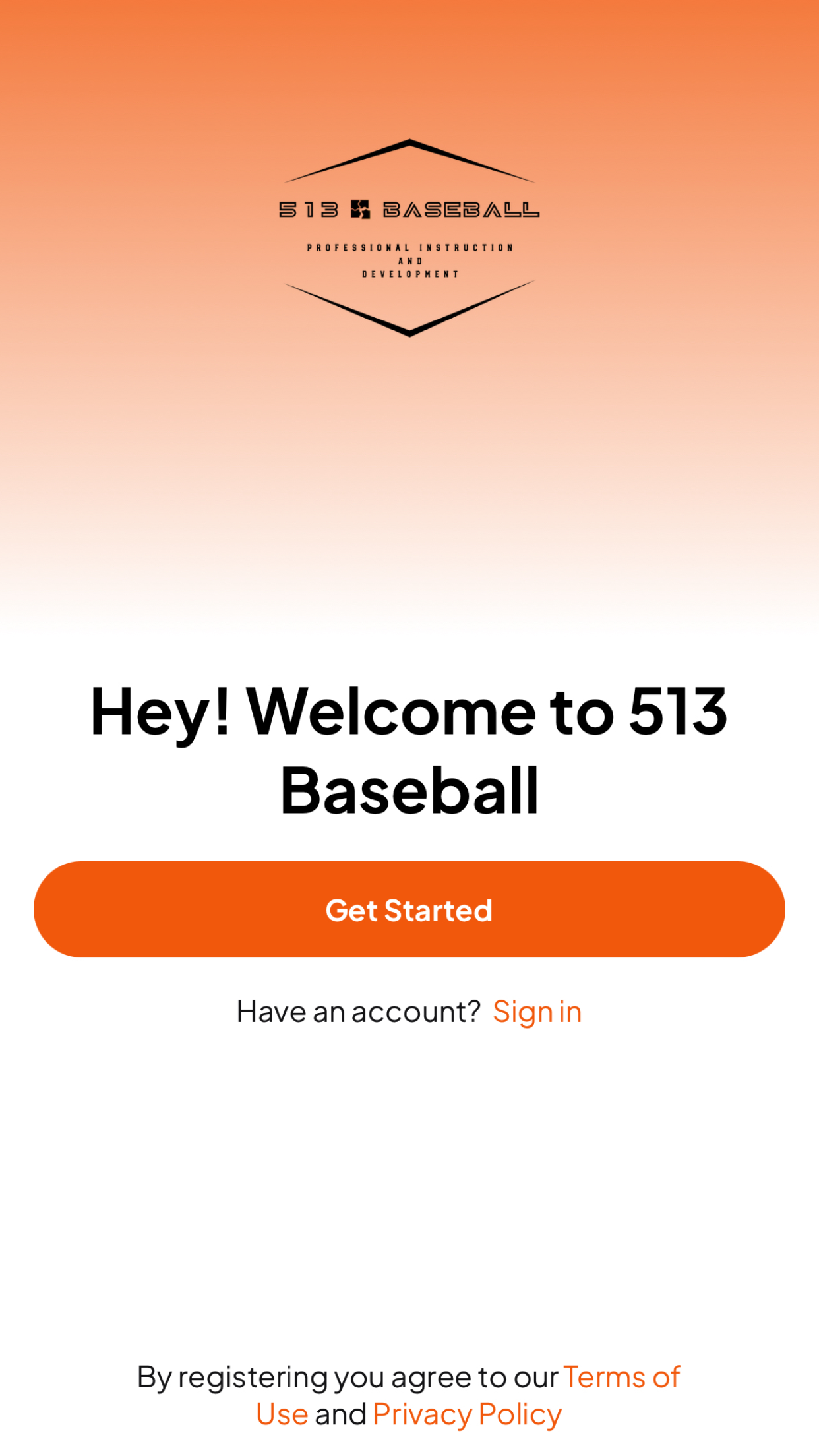 513 Baseball