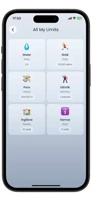 LimitApp screenshot 3