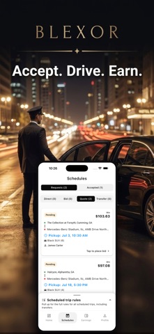 Blexor Driver: Drive & Earn screenshot