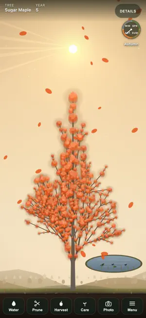 Quietgrove: Grow a Tree screenshot 3