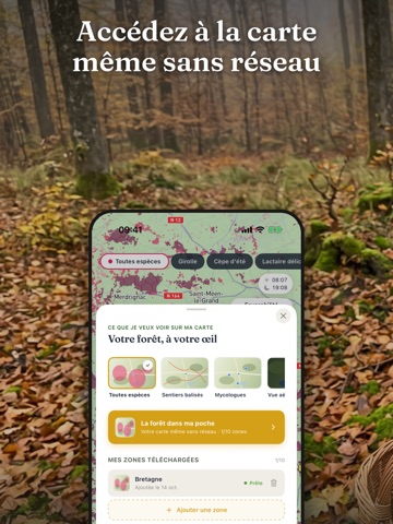 Champi · Carte Champignons iPad screenshot 6