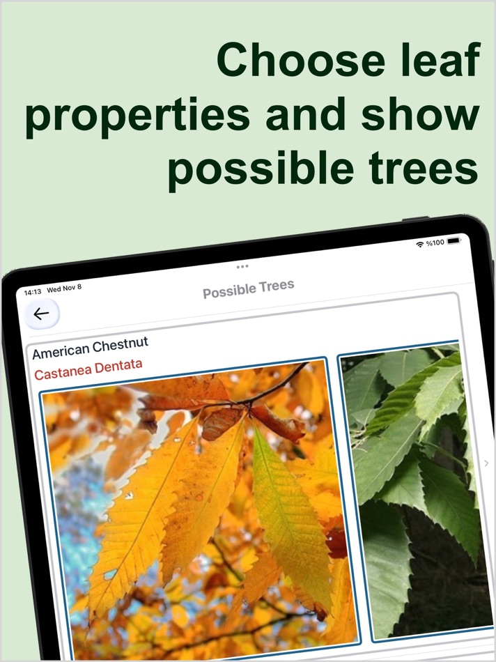 #2. Forest Tree Identification (iOS) Podle: Kesifler Dunyasi Ltd.