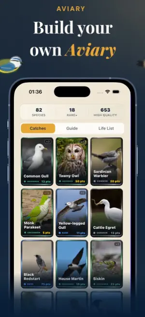 Lifer - Bird ID & Birding screenshot 4