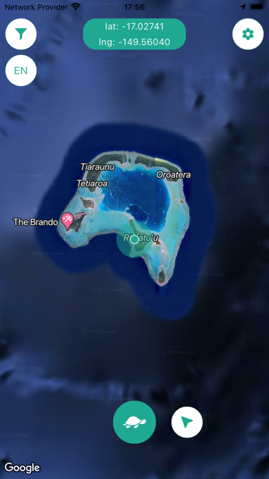 We Spot Turtles! Screenshot