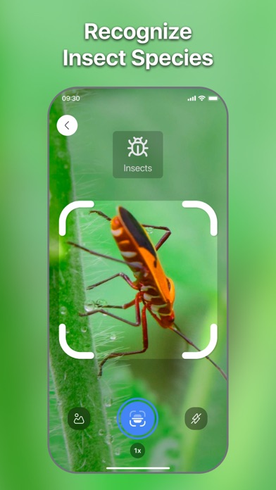 Lens Scan: Identify Anything Screenshot
