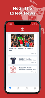Roscrea GAA screenshot 2