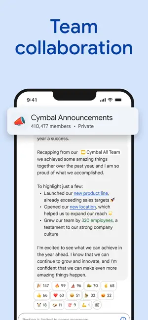 Google Chat iPhone screenshot 3