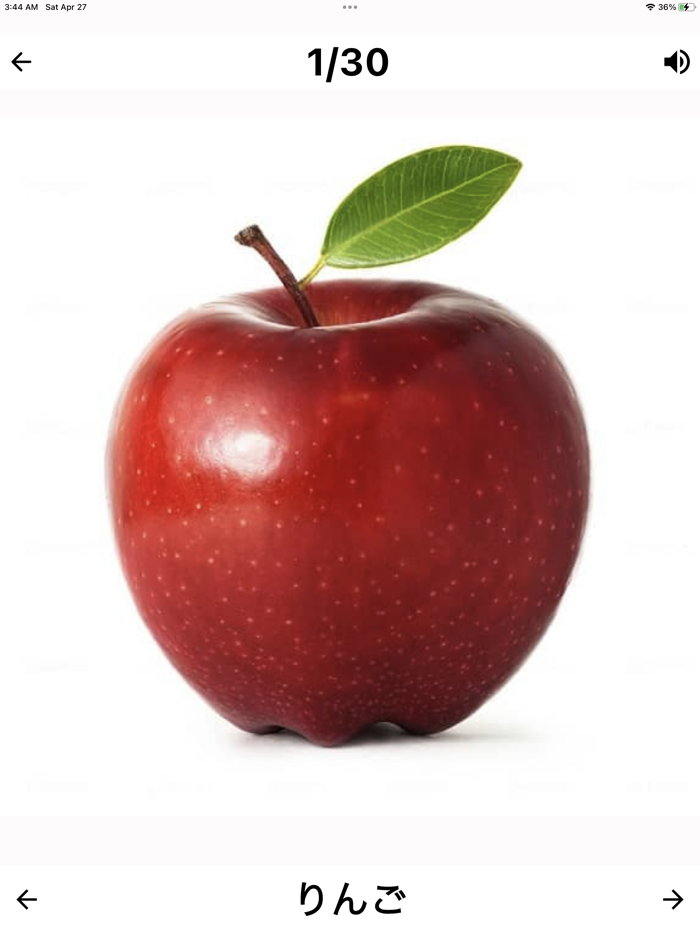 Flashcard Japanese beginner