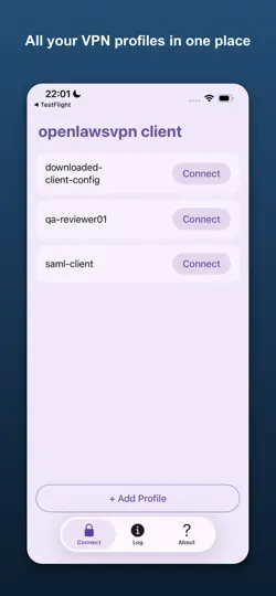 Скриншот OpenLawsVPN Client на iPhone 1