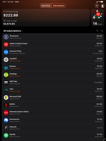 Subo - Subscription Manager iPad screenshot