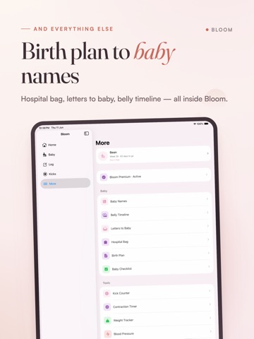 Pregnancy Tracker by Bloom iPad screenshot