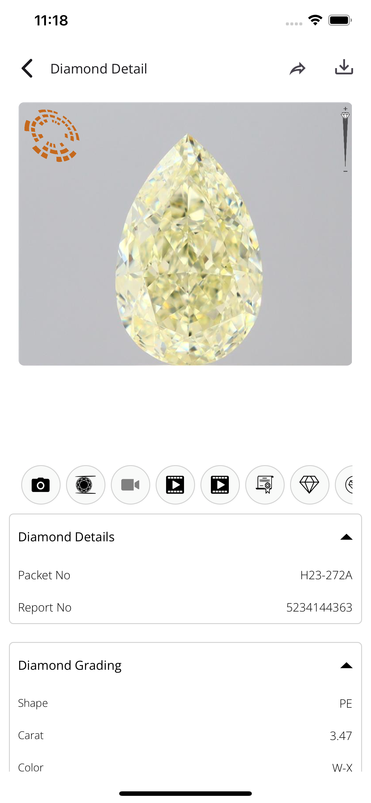Royal Rays