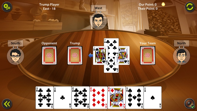 29 Card Game Pro