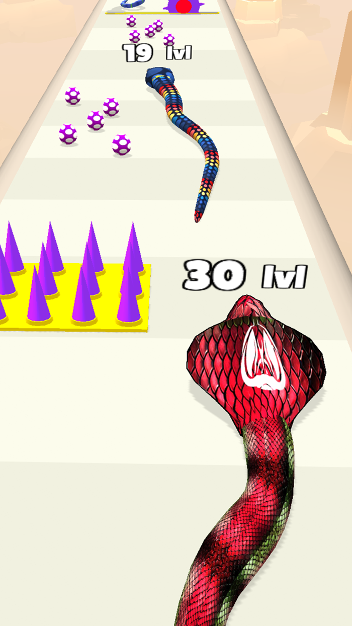 Snake Run Merge  Evolve