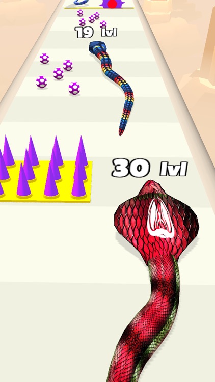 Snake Run Merge & Evolve