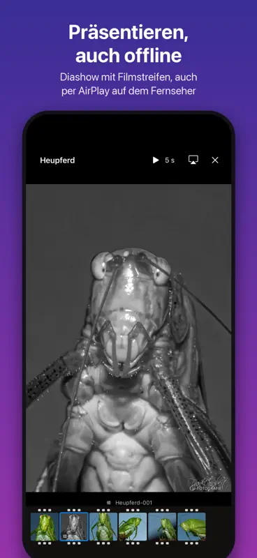 Fotoarchiv – Fotosafe screenshot 3 of 10