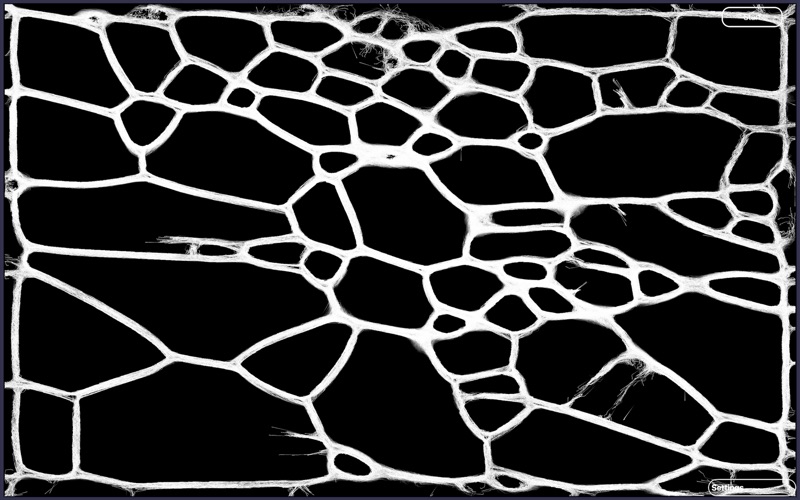 Slime Mold Sandbox screenshot