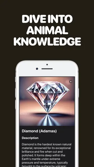 Identify Stones with AI screenshot 2