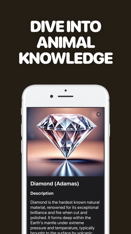 Identify Stones with AI