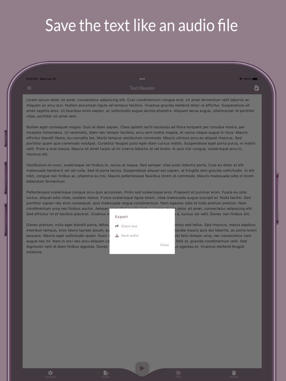 Text to Voice: Text Reader iPad screenshot 4 - Productivity app
