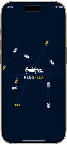 REGGFLEX Driver Screenshot 1 of 7