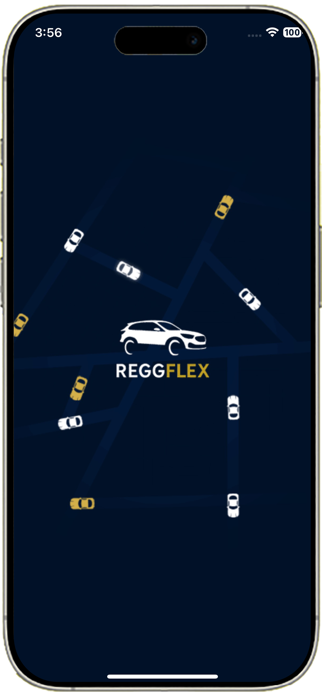 REGGFLEX Driver Screenshot 1 of 7