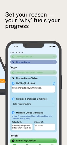 Lighter Tomorrow screenshot