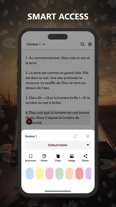 Bible Louis Segond Audio Pro Screenshot