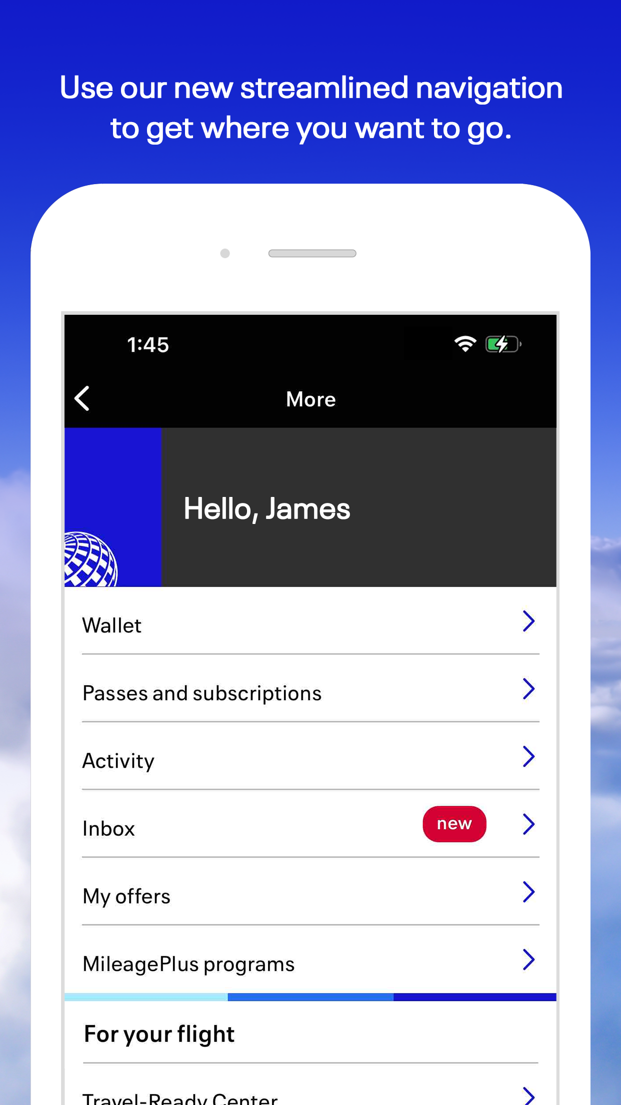 United Airlines screenshot 3