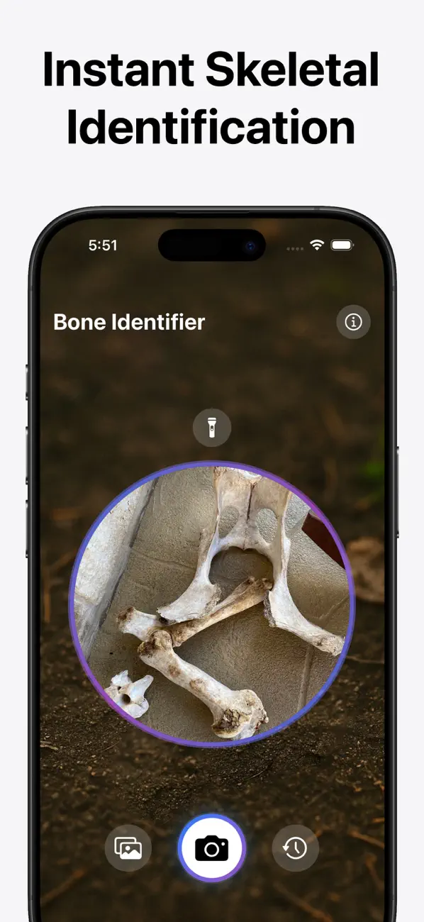Screenshot #3 pour Identification d’Os