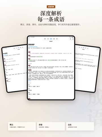 成语词典 精编版 iPad screenshot