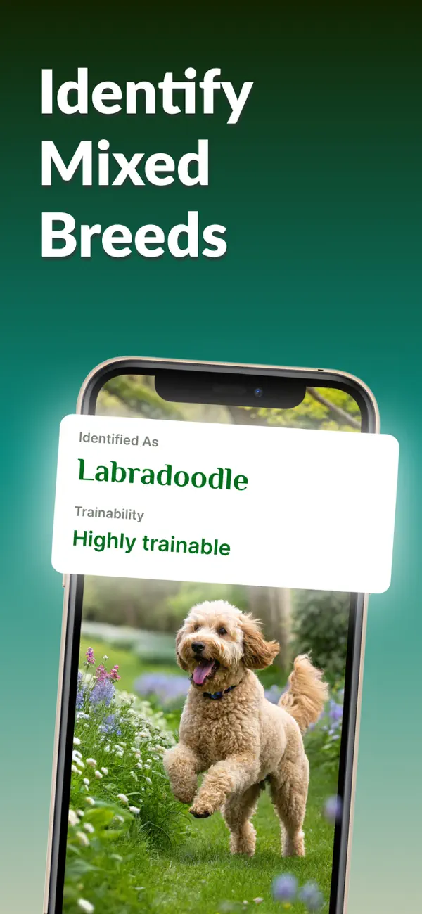 Screenshot #2 pour Dog Breed Identifier: Dog Care