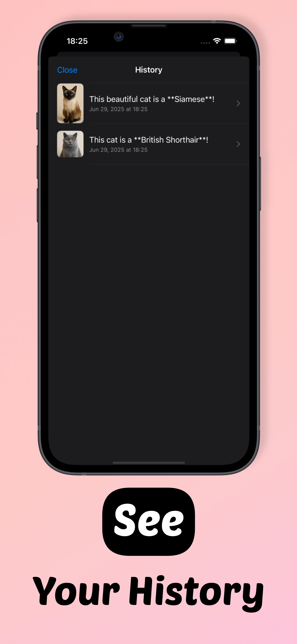 Cat Breed Identifier: Purr AI screenshot 3