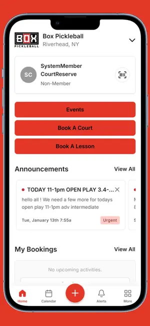 Box Pickleball screenshot 2